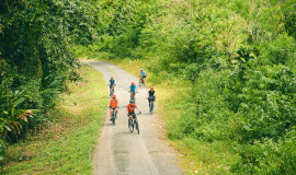 Adventure Connection between Monteverde and La Fortuna: Pedal & Paddle