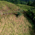 Horseback Riding to the views of Arenal Volcano