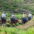 Horseback Riding to the views of Arenal Volcano