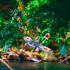 Private Safari Float at Peñas Blancas River