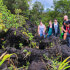 Arenal Mini Combo Hanging Bridges + Volcano Walk