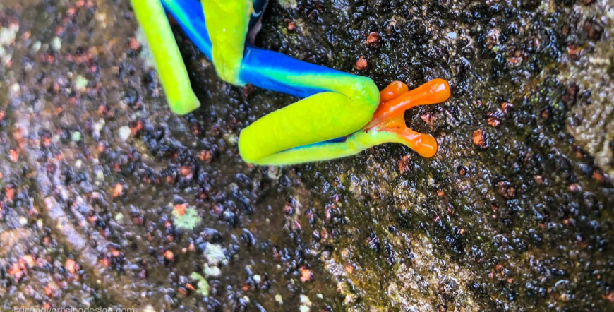 Private Arenal Volcano Walk and Hike