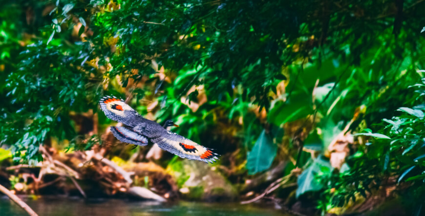 Private Safari Float at Peñas Blancas River